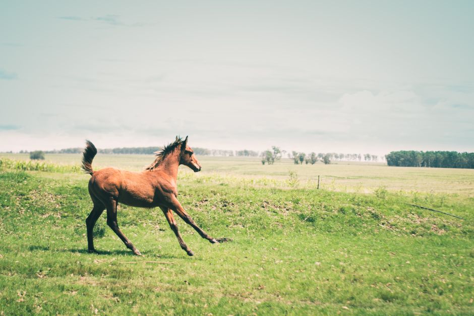 Treinta y Tres, Uruguay - travel photo