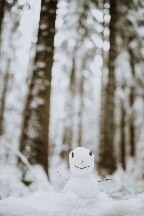 Free Cute snowman with stick arms in a peaceful snowy forest, capturing winter's essence. Stock Photo
