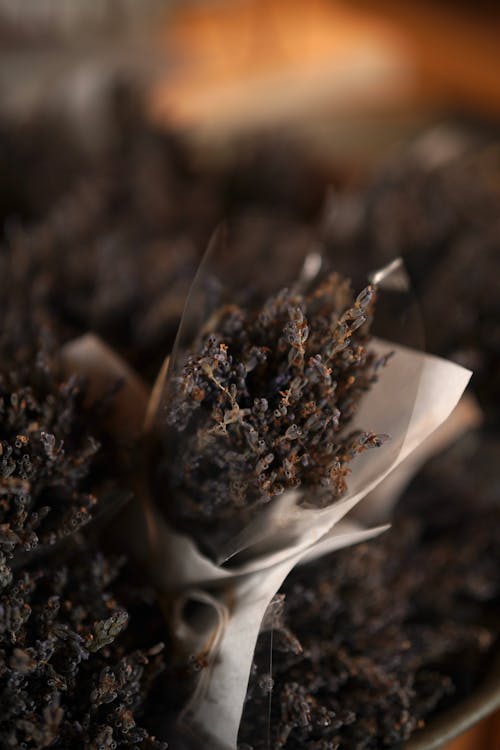 Dried Flowers Wrapped in Plastic