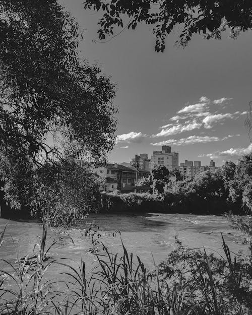 Безкоштовне стокове фото на тему «береги річок, Будівля, вертикальні постріл»