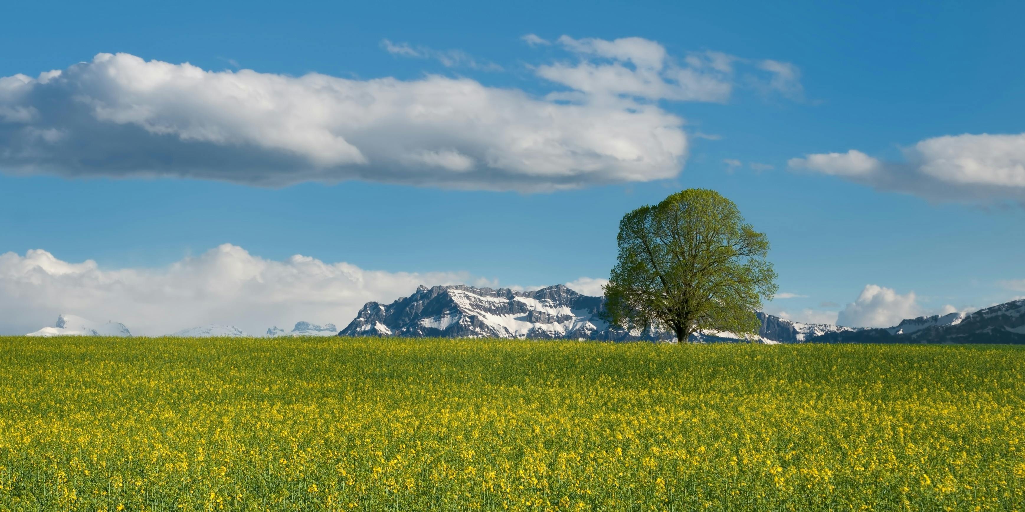 A scenic view of the Ardenvoir landscape showing seasonal contrast, with snow-capped mountains in the background and lush greenery in the foreground - heat pump repair in ardenvoir, wa