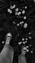 Black and white anonymous person in jeans and gumshoes standing on grassy verdant field near blossoming chamomiles