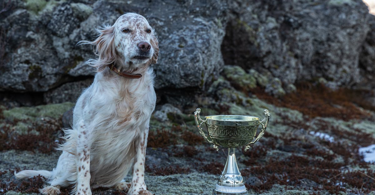 竹市動畫 塹裡尋妖 勇奪三項國際大獎 風采驚艷全球