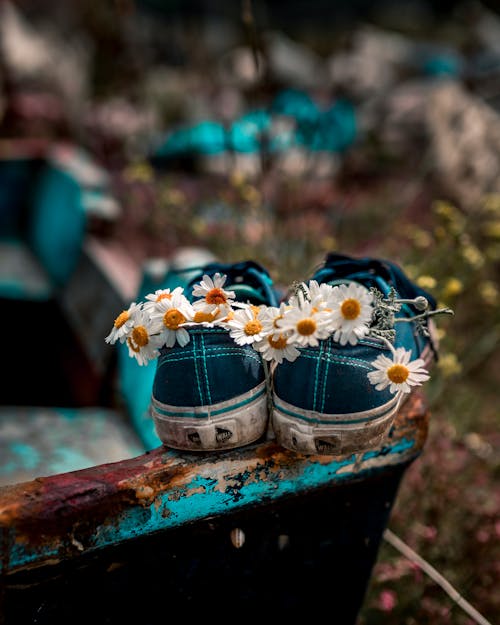 Free White and Yellow Flowers on the Blue Shoes Stock Photo