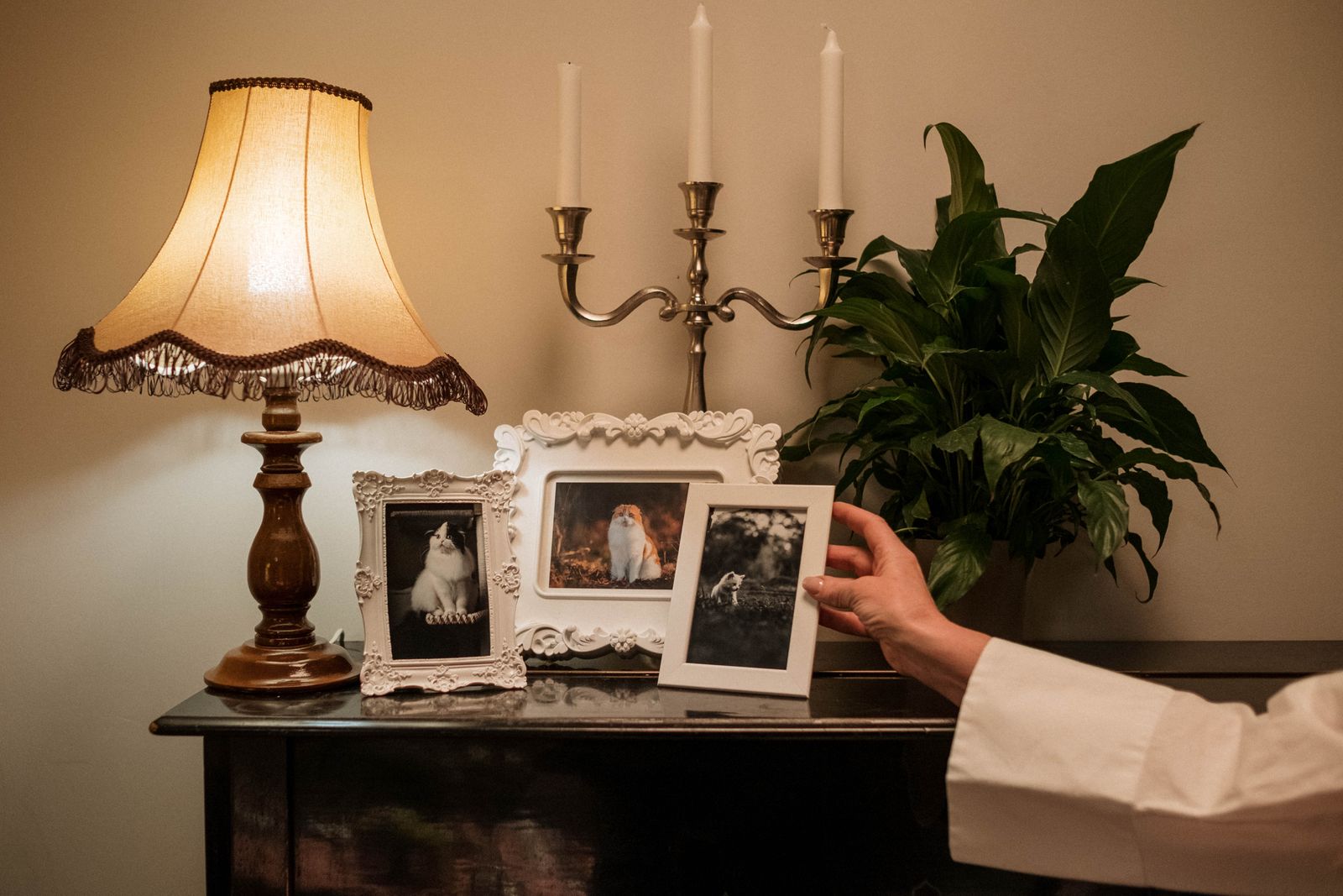 Pessoa posicionando uma moldura sobre móvel com fotografias, luminária e planta.