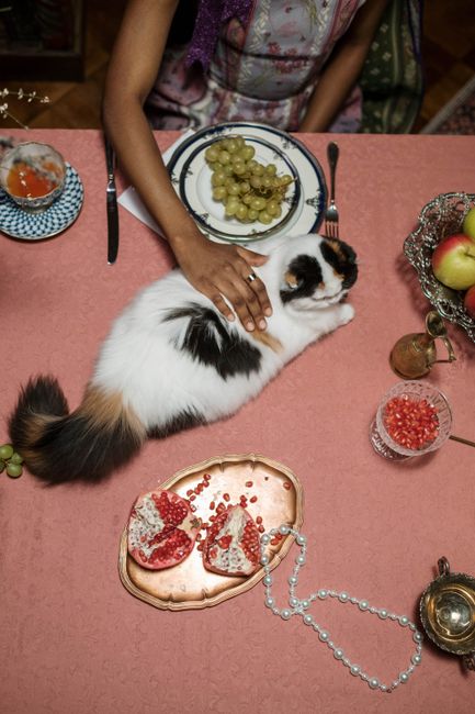 A cat lounges on a set dining table with fruits and a pearl necklace.