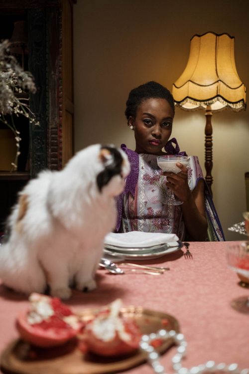 Free Black woman enjoying a sophisticated dinner with a furry cat, dimly lit ambiance. Stock Photo