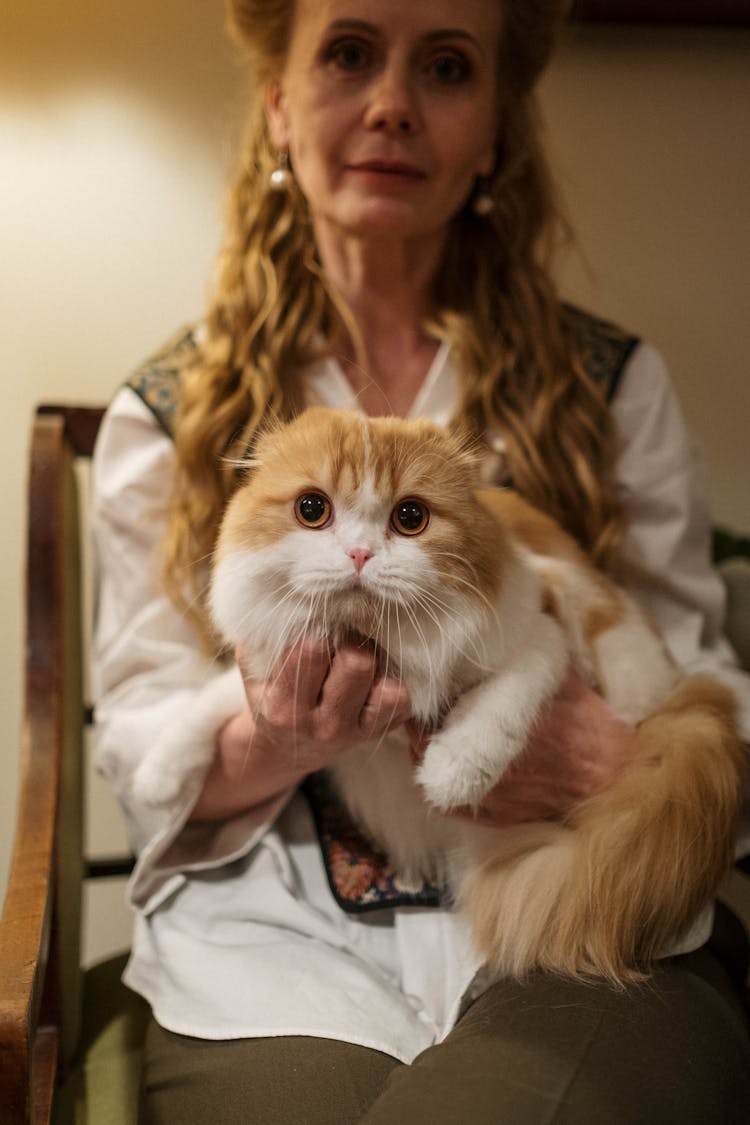 Woman Holding Her Orange And White Cat