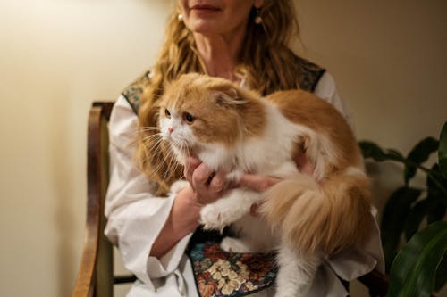 Woman Holding Her Orange and White Cat