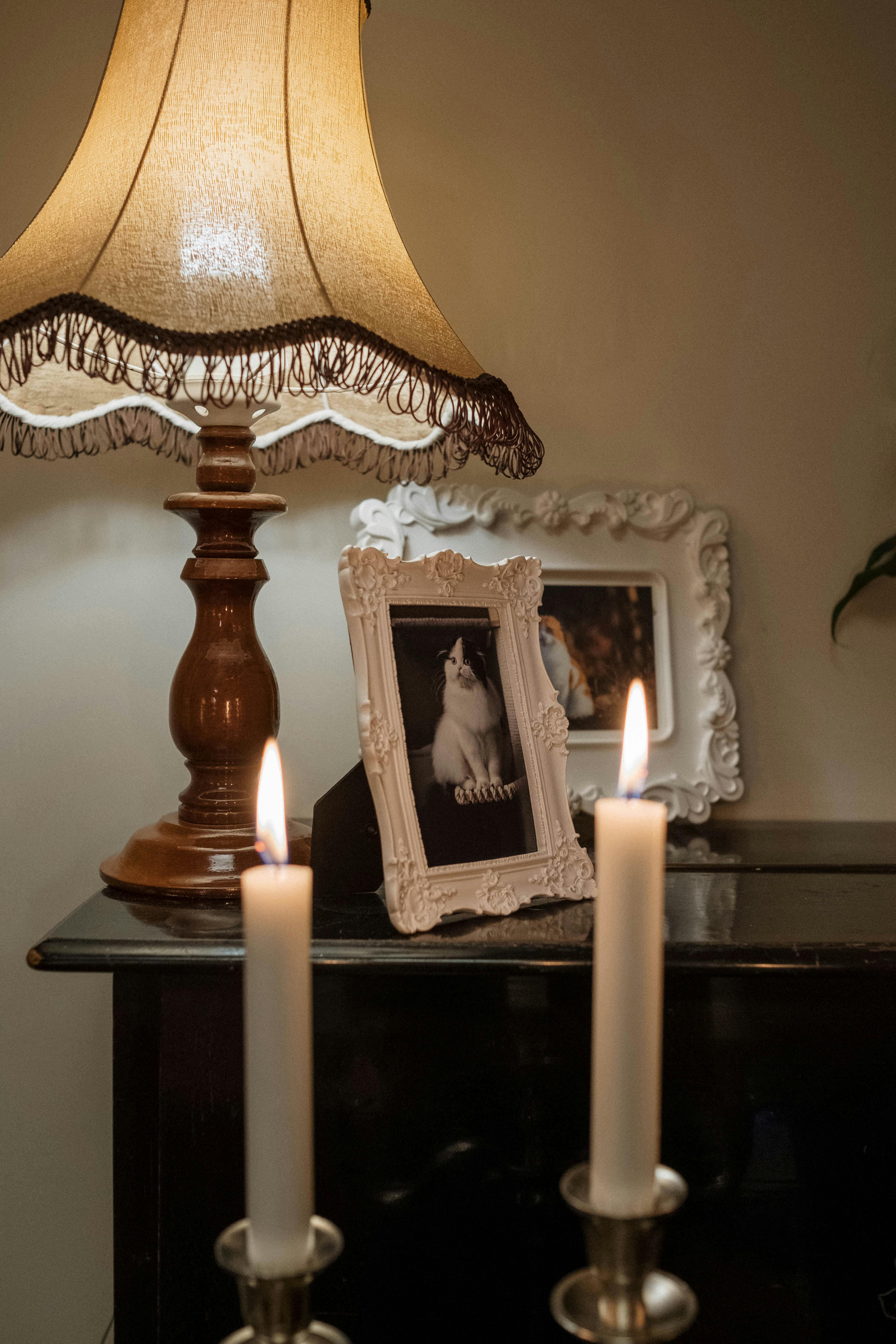 A warm, classic room features a cat portrait, lit candles, and an antique lamp.
