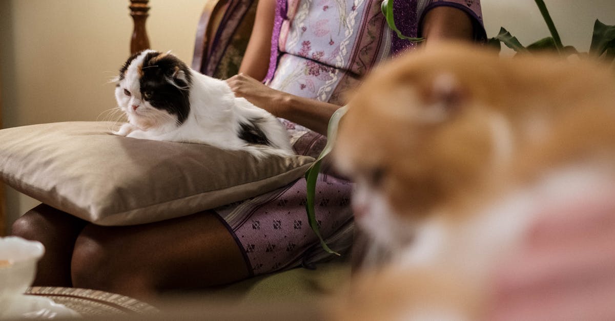 How to make polyester pillows fluffy again