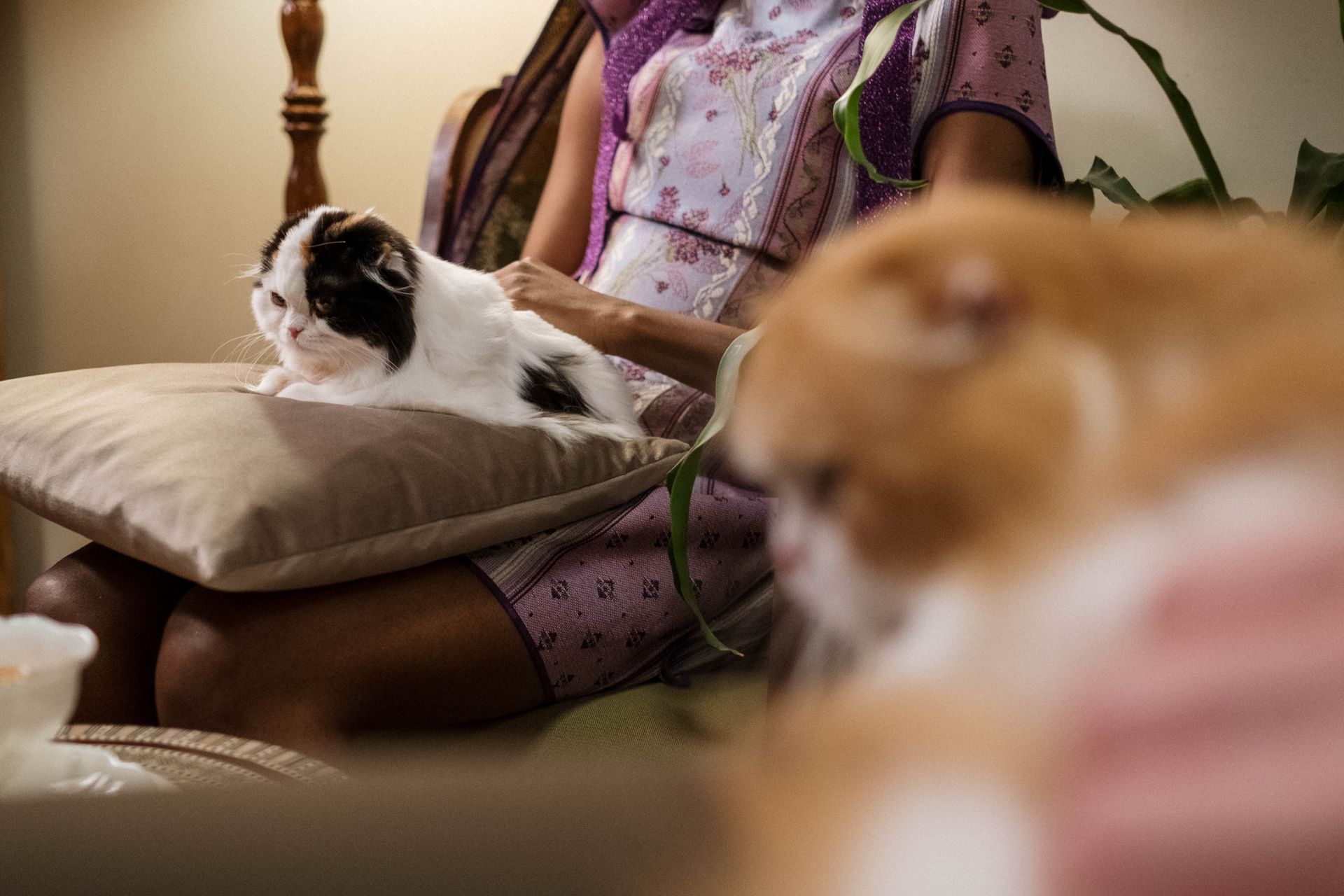 A Person with Pet Cat