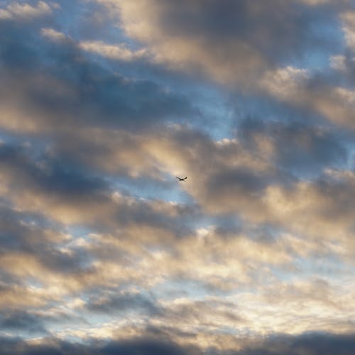 Free stock photo of abstract, aeroplane, air