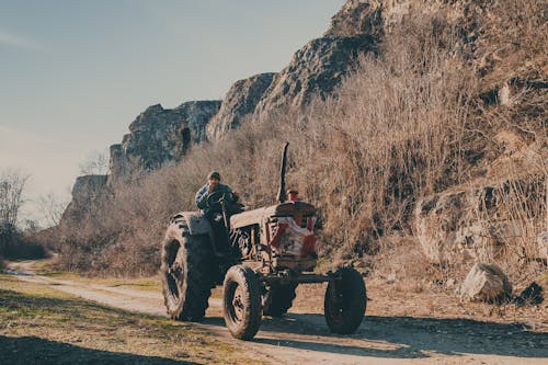 Foto d'estoc gratuïta de camí de carro, herba, home