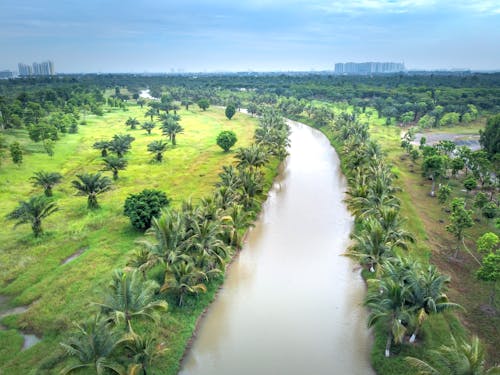 Gratis lagerfoto af droneoptagelse, kanal, kokostræer