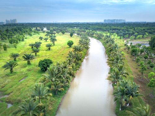 Free Stunning aerial shot of a canal flanked by lush greenery and palm trees in the serene countryside. Stock Photo