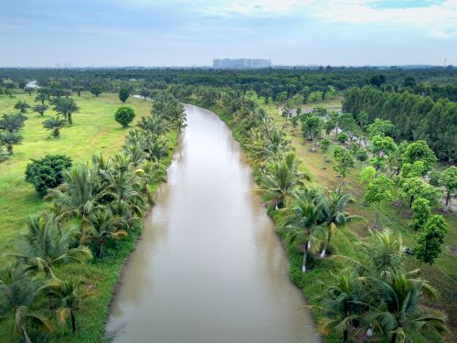 Free Aerial shot of a serene river surrounded by lush green fields and palm trees under a cloudy sky. Stock Photo