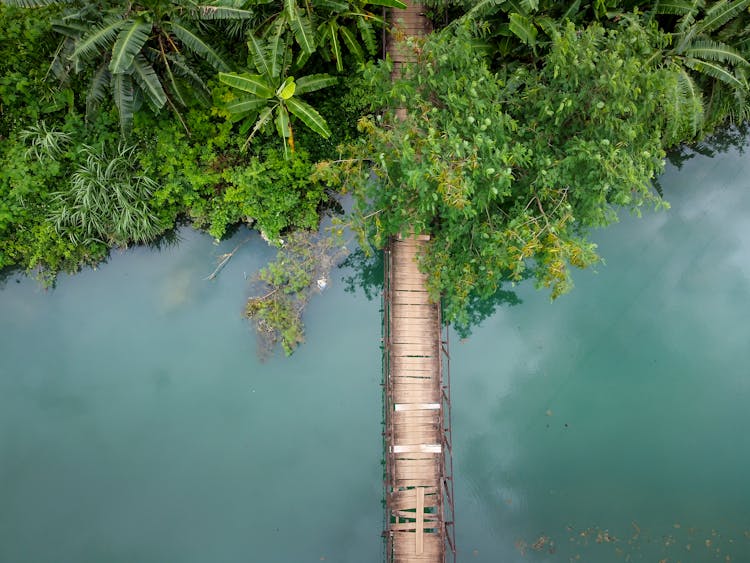 Aerial Photography Of A Footbridge