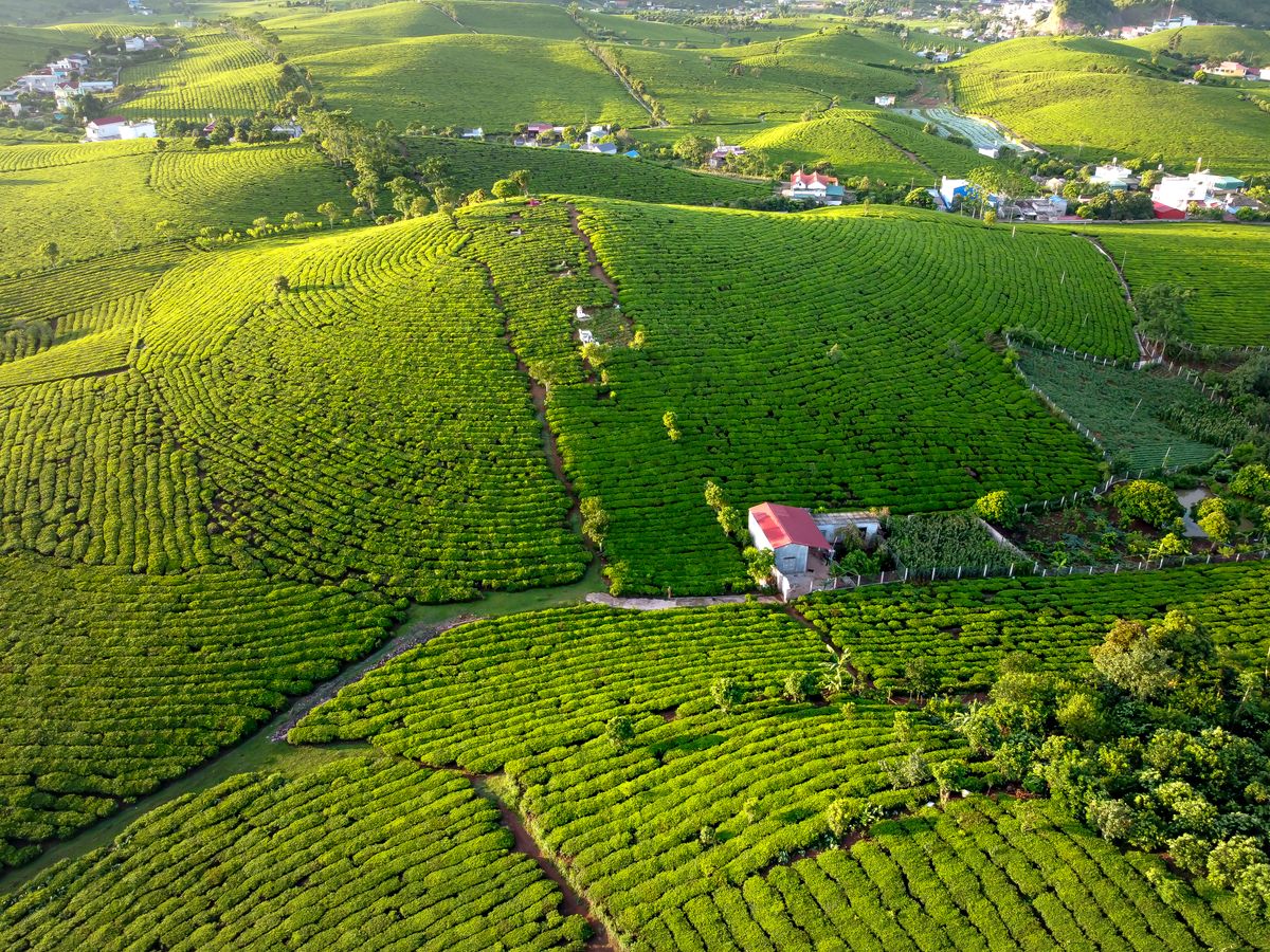 Land survey and property landscape