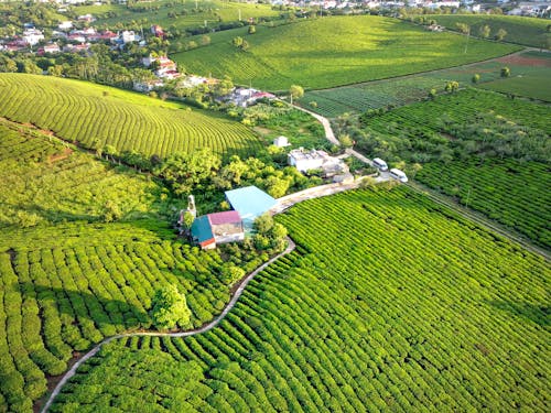 Photos gratuites de champs, les terres agricoles, photo avec un drone