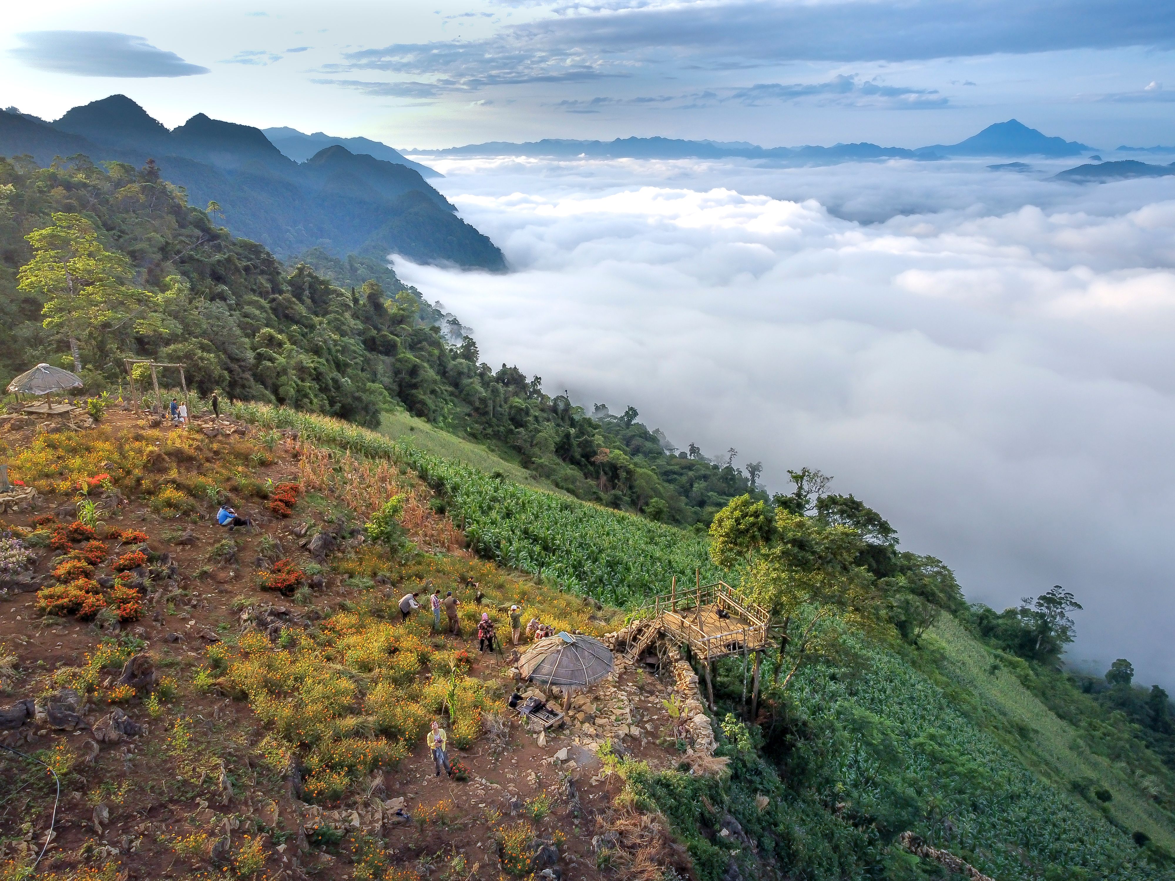 Coffee terraces and cloud-forest edge above the village of San José in the western La Paz highlands