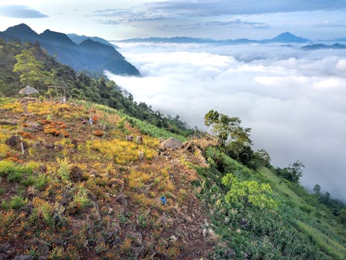 Foto profissional grátis de cadeia de montanhas, cênico, montanha