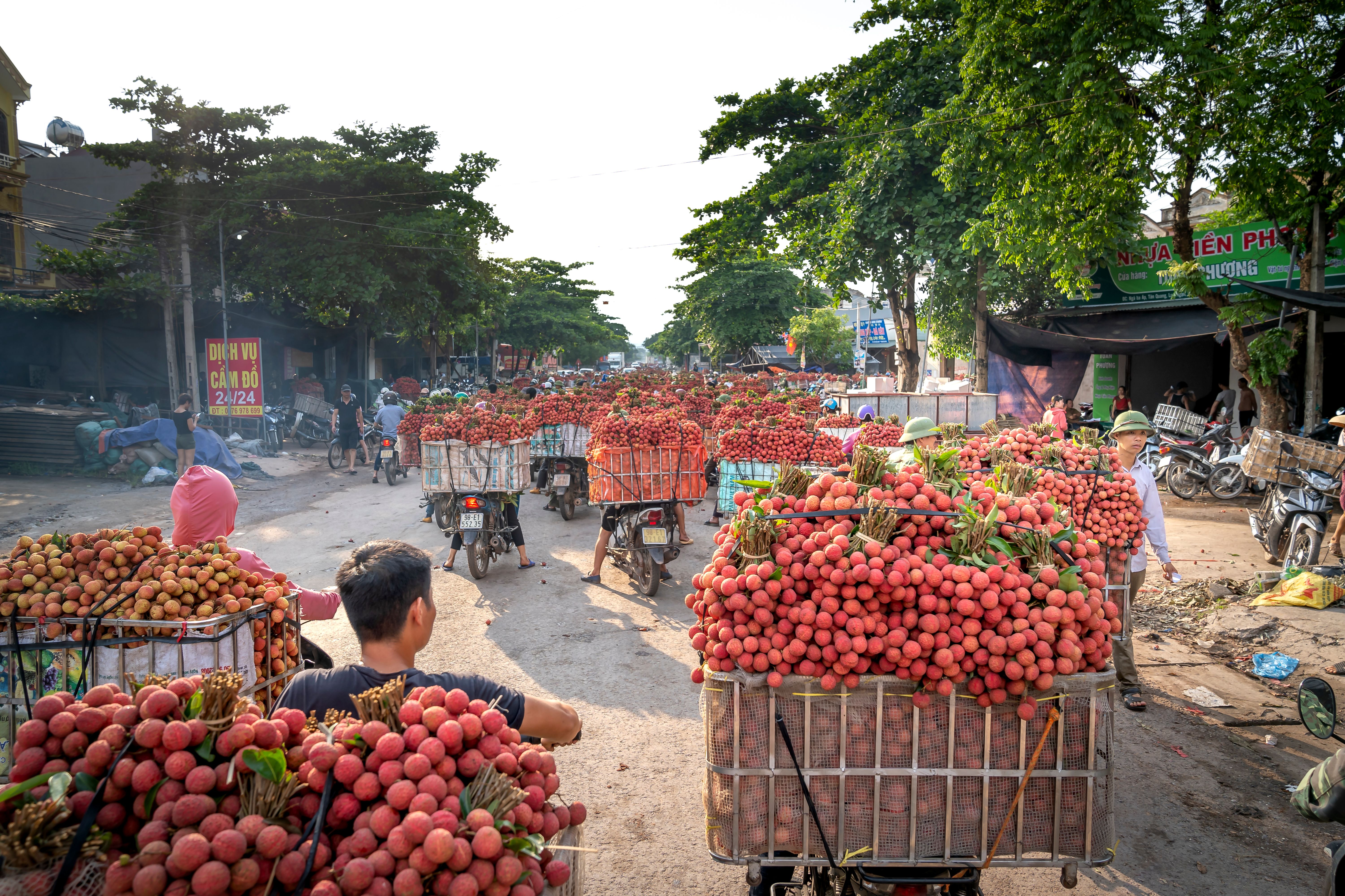 Biến động logistics và giá nguyên liệu: Thách thức và cơ hội cho thị trường FMCG Việt Nam