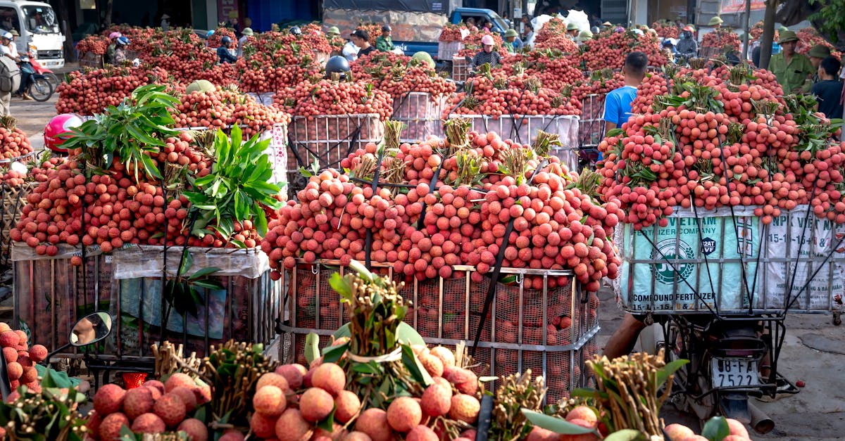 黃仁為推動台東鳳梨釋迦,國防部與企業踴躍採購!