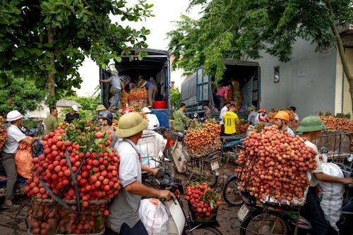 Foto profissional grátis de ação, caminhões, cestas