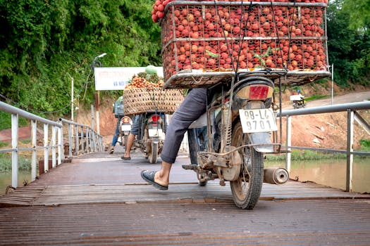 Motorcyclists transport fruit baskets across a rural bridge amidst lush green surroundings.
