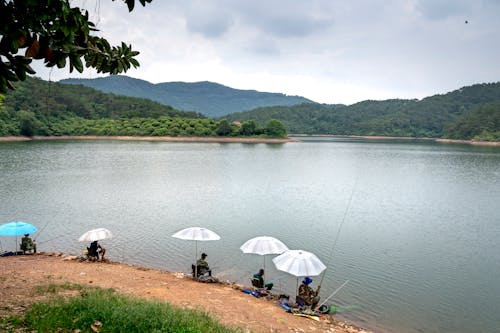 People Sitting Near the Lake