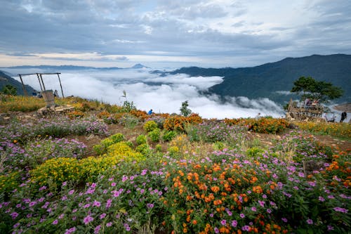 Beautiful Landscape from a Mountain Peak Above Clouds in Hoa Binh, Vietnam