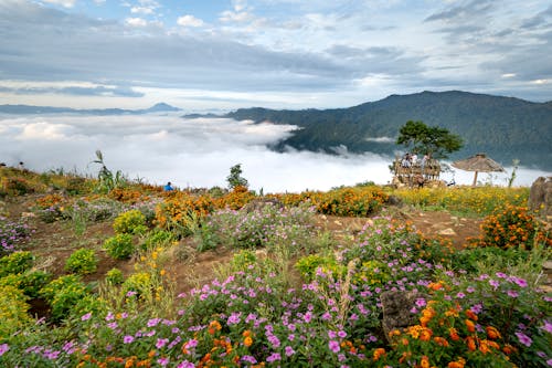 Ücretsiz bulutlar, dağ, dağ doruğu içeren Ücretsiz stok fotoğraf Stok Fotoğraflar