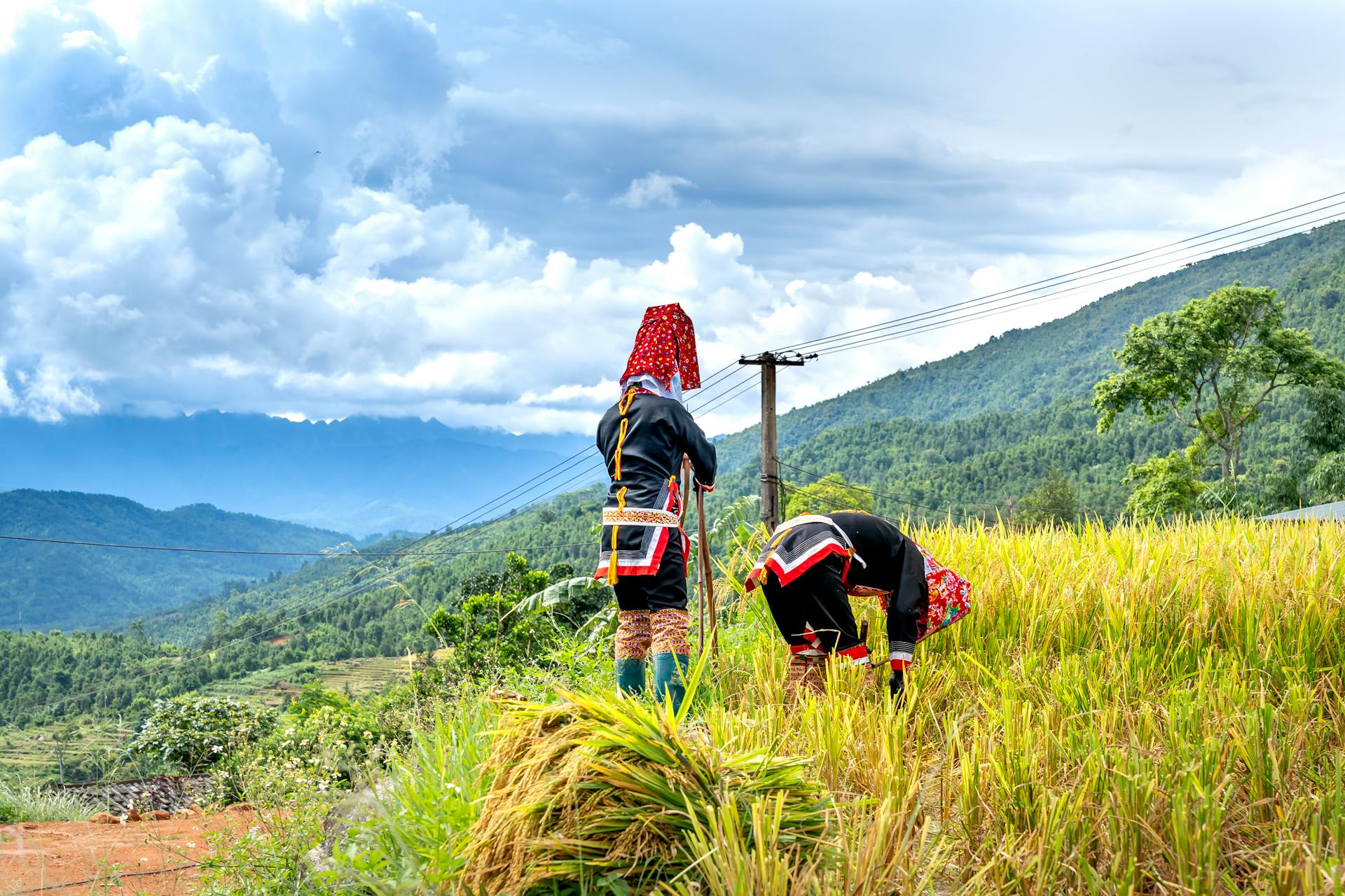 Scenic view of farmers working in lush terraced fields with mountains in background.