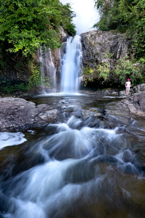 Immagine gratuita di acqua, cadente, cascata