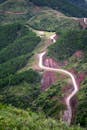 Road and Forest in Mountains