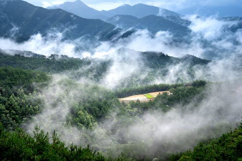 Green Mountain Peaks in Fog