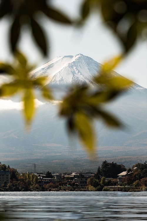 Foto profissional grátis de Ásia, coberto de neve, Japão