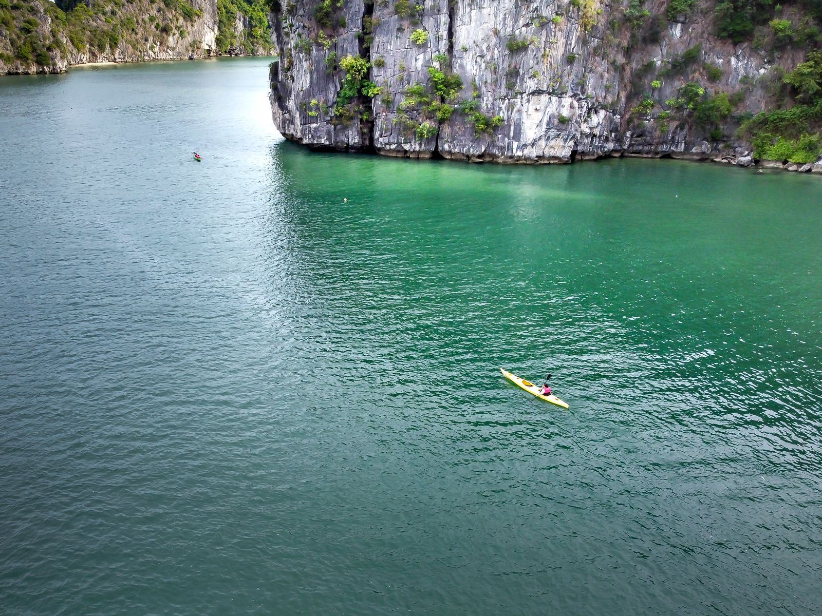 Kayakers paddling across calm green coastal water beside cliffs