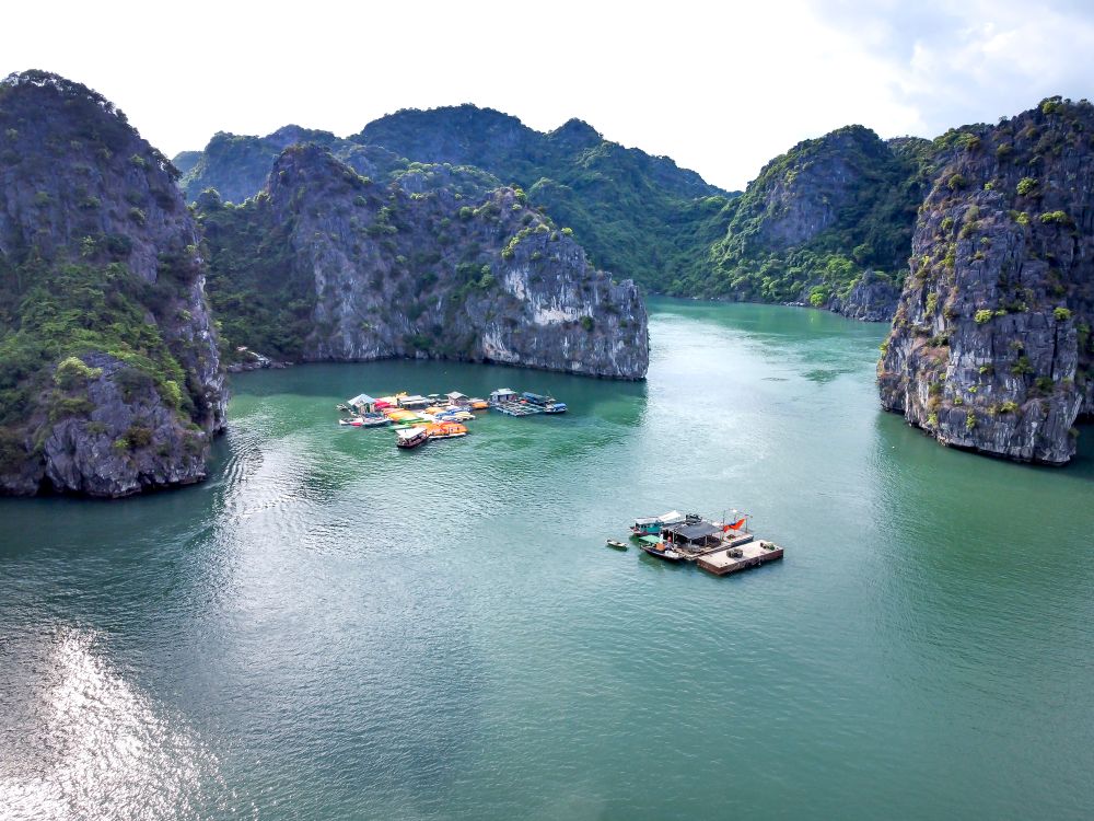 Cruise boats on Ha Long Bay Vietnam surrounded by limestone karsts