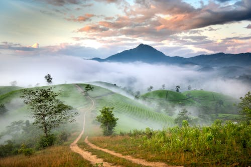 Ingyenes stockfotó dombok, földes út, köd témában