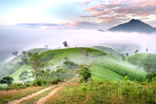 A Fog over Hills in a Countryside