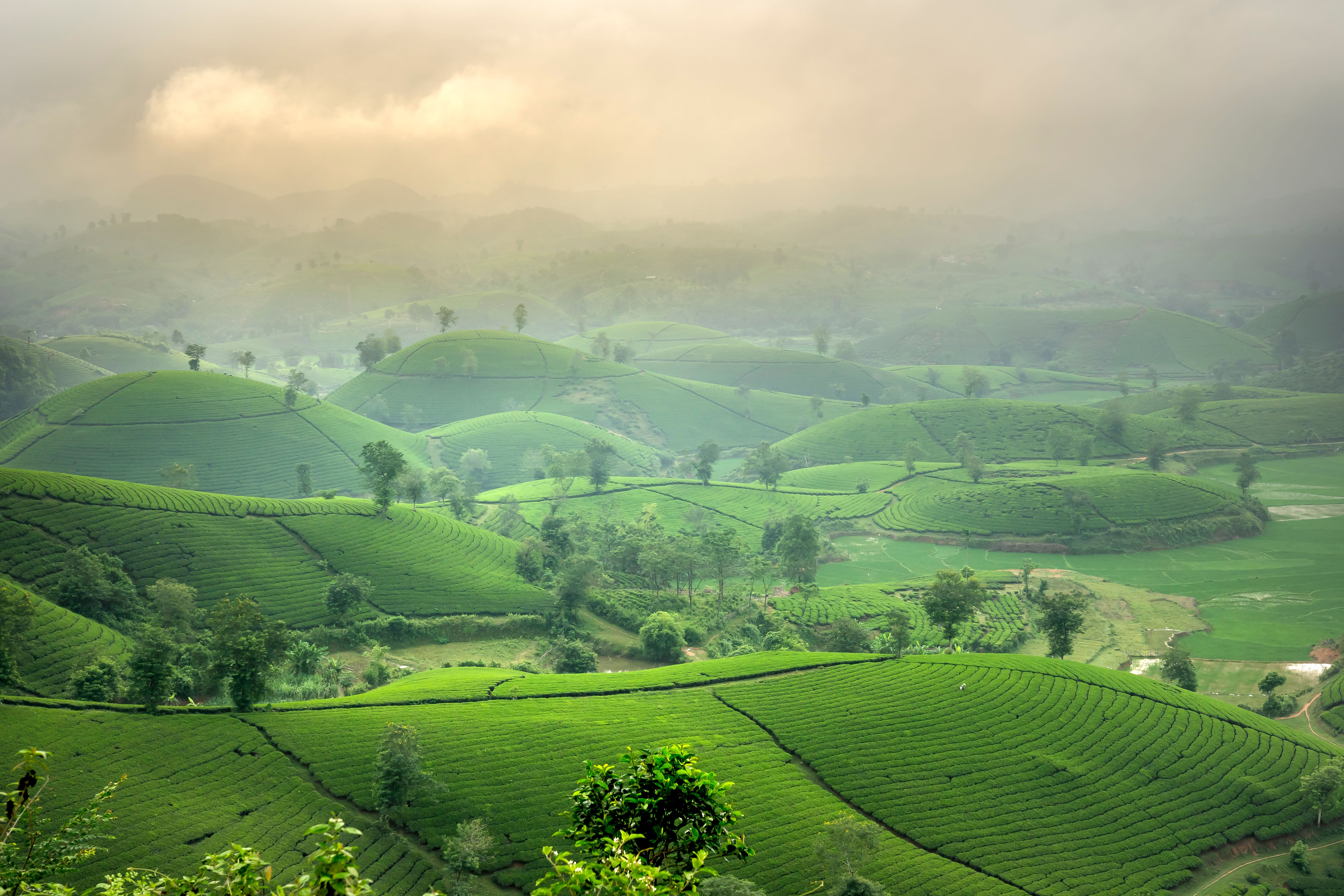 Scenic Aerial Shot of Green Croplands in Hills · Free Stock Photo