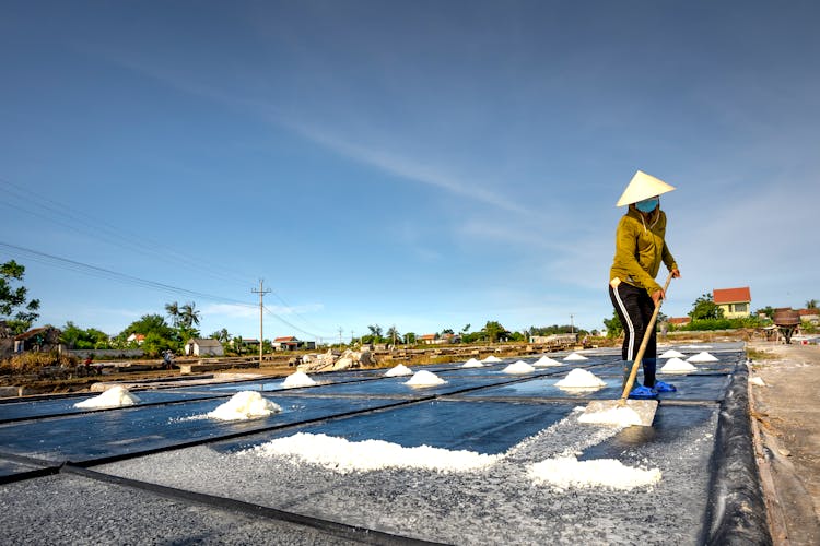 Man Spreading Salt With A Shovel As A Part Of Salt Evaporation Process