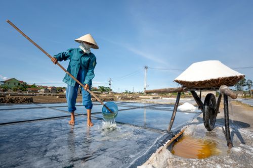 Free A man harvesting salt in a rural field under clear skies, capturing traditional methods. Stock Photo