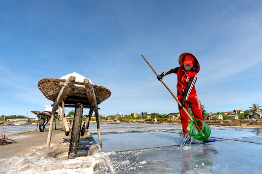 A woman in traditional attire collects salt with a tool in outdoor salt pans, showcasing rural life and labor.