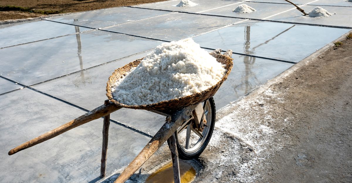 Understanding the Impact of Salt on Blood Pressure Levels