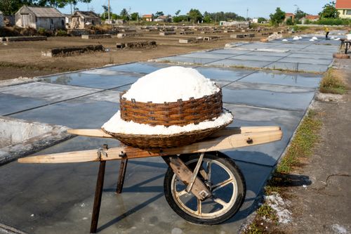 Free Salt harvesting process with a basket full of salt on a wheelbarrow in a Vietnamese salt field. Stock Photo