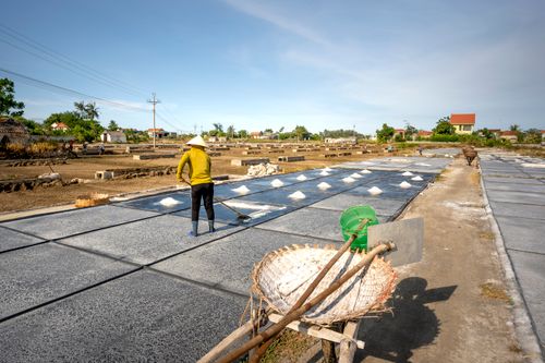 Free A worker in Vietnam spreading salt in a rural salt farm using traditional methods. Stock Photo
