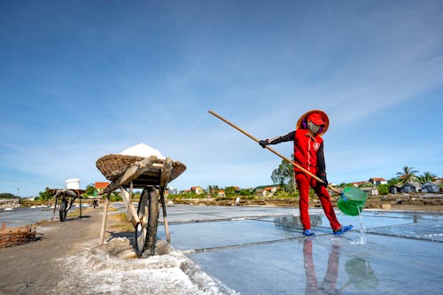 Free A salt farmer collecting salt in a traditional coastal village, showcasing rural labor and culture. Stock Photo